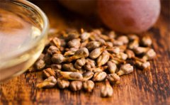 吃葡萄籽有什么功效與作用(葡萄籽粉什么時候吃比較好)